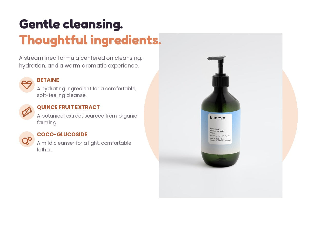 Noorva Hand and Body Wash key ingredients